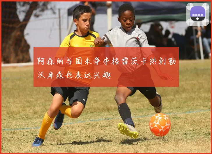 阿森纳与国米争夺格雷茨卡热刺勒沃库森也表达兴趣