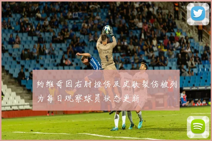 约维奇因右肘挫伤及皮肤裂伤被列为每日观察球员状态更新