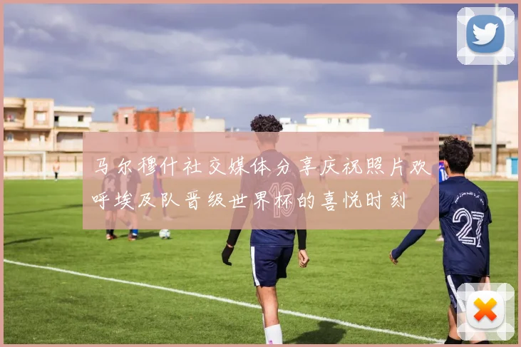 马尔穆什社交媒体分享庆祝照片欢呼埃及队晋级世界杯的喜悦时刻